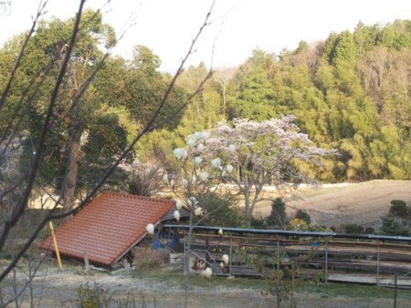 f:id:Bosque:20110412072434j:image