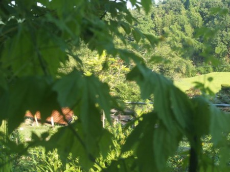 f:id:Bosque:20120810073352j:image