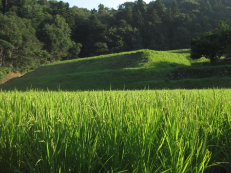 f:id:Bosque:20120810073401j:image