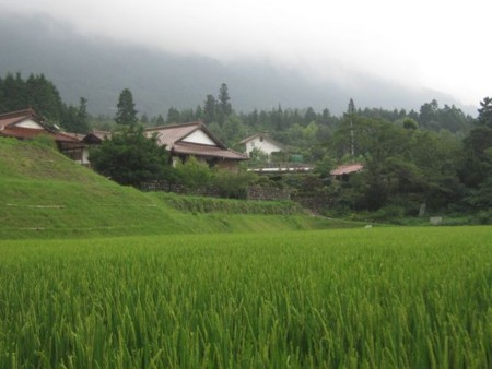 f:id:Bosque:20120811080045j:image