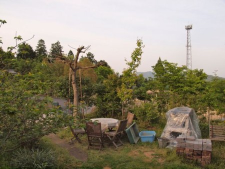 f:id:Bosque:20140517080324j:image