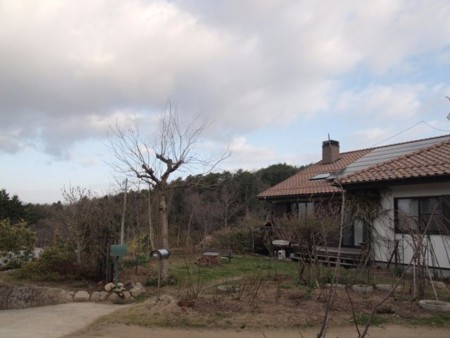 f:id:Bosque:20150323075015j:image