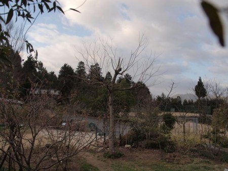 f:id:Bosque:20150323075018j:image