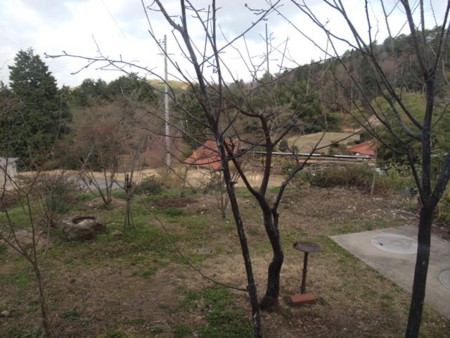 f:id:Bosque:20150323075020j:image