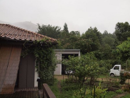 f:id:Bosque:20150720063526j:image