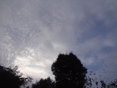f:id:Bosque:20160917072518j:image