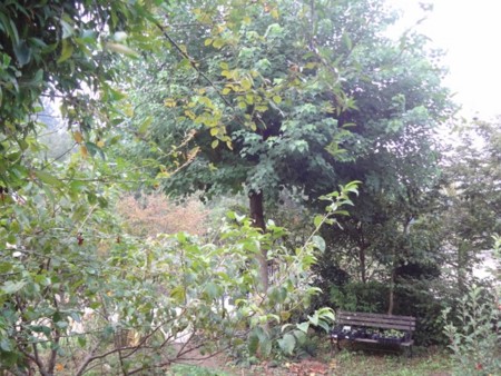 f:id:Bosque:20160917072522j:image