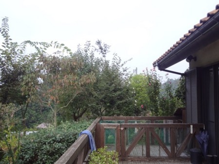 f:id:Bosque:20160917072523j:image
