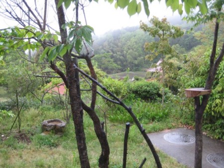f:id:Bosque:20170506070239j:image