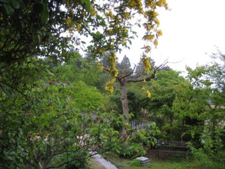 f:id:Bosque:20170506070243j:image