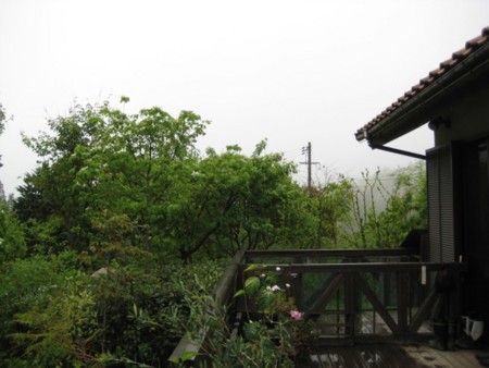 f:id:Bosque:20170506070245j:image