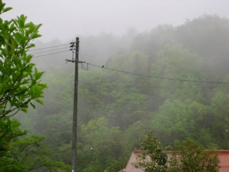 f:id:Bosque:20170506070246j:image