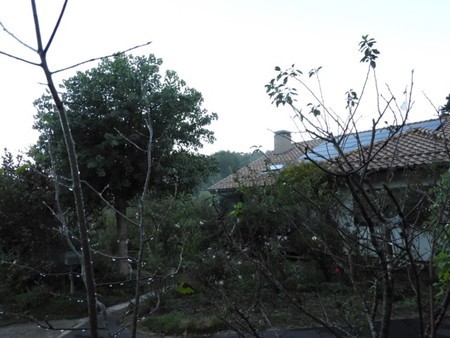 f:id:Bosque:20181008074206j:image