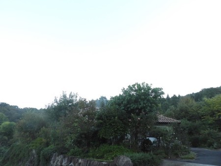 f:id:Bosque:20181008074538j:image