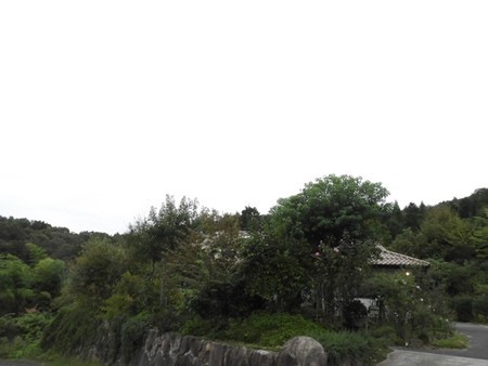 f:id:Bosque:20181009111655j:image
