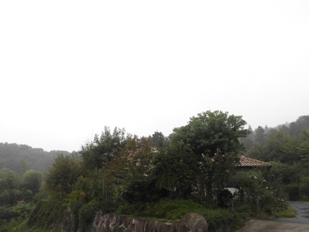 f:id:Bosque:20181010163751j:image