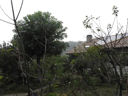 f:id:Bosque:20181010163755j:image