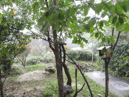 f:id:Bosque:20181010163805j:image