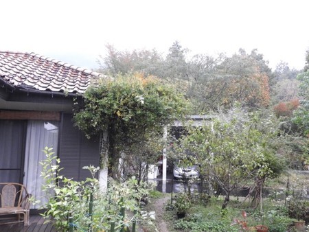 f:id:Bosque:20181011074002j:image