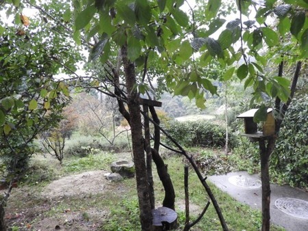 f:id:Bosque:20181011074004j:image
