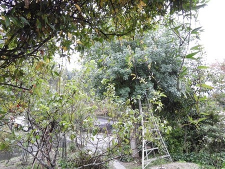 f:id:Bosque:20181011074047j:image