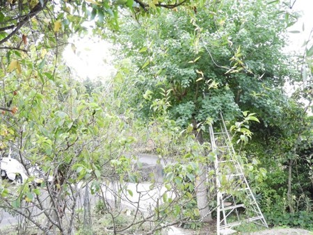 f:id:Bosque:20181013112342j:image