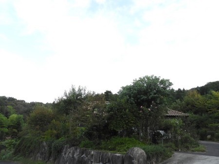 f:id:Bosque:20181013112425j:image