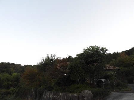 f:id:Bosque:20181021080227j:image