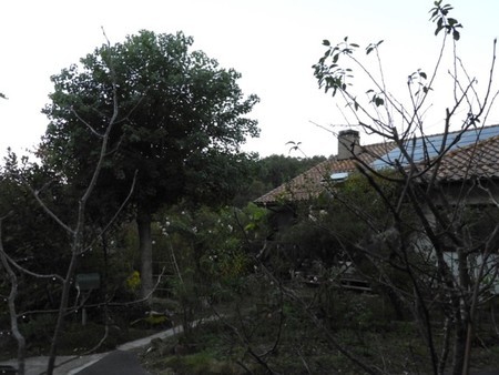 f:id:Bosque:20181021080231j:image