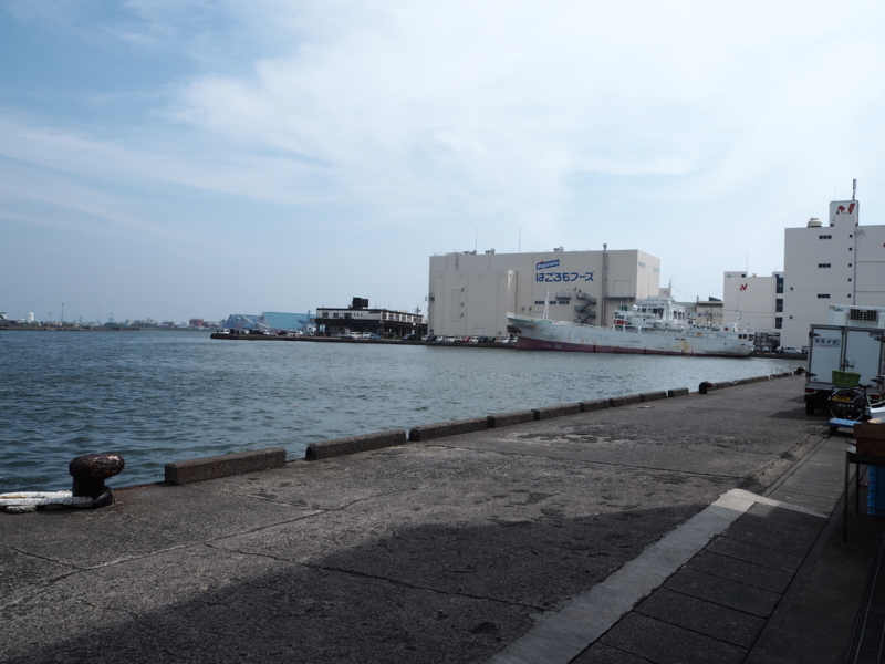 清水港の防波堤