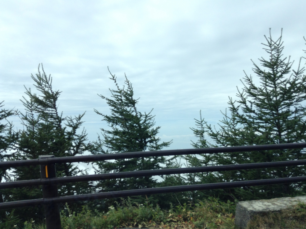 f:id:Bosssuke:20160911093240j:plain f:id:Bosssuke:20160911093240j:plain