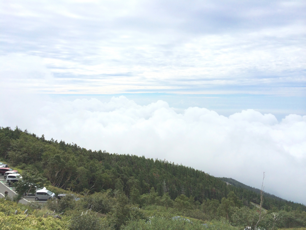 f:id:Bosssuke:20160913072935j:plain f:id:Bosssuke:20160913072935j:plain