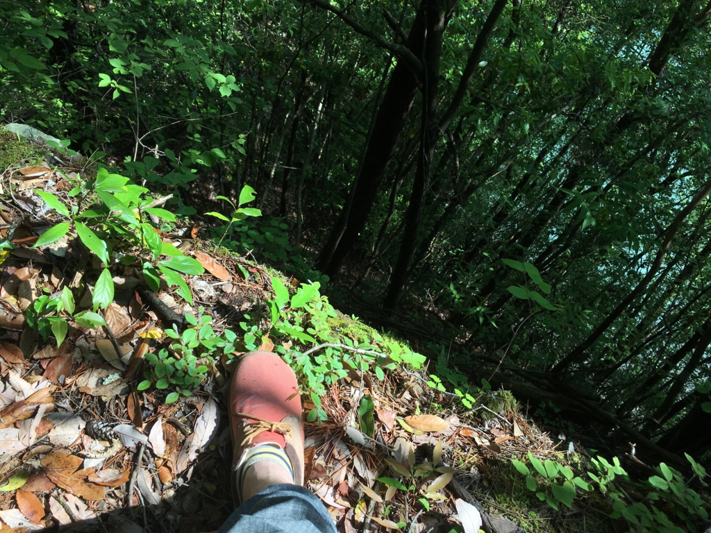 f:id:Bosssuke:20160922014531j:plain
