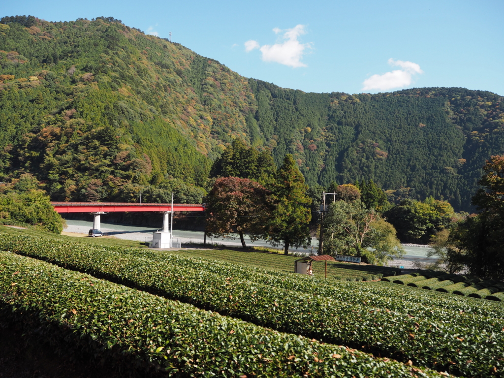 f:id:Bosssuke:20161015064252j:plain f:id:Bosssuke:20161015064252j:plain