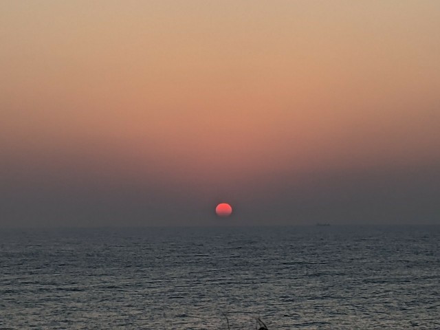 f:id:Bouken365:20210223183629j:image