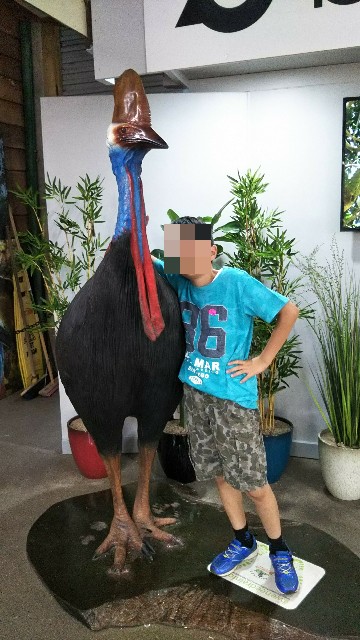 f:id:Bourbon_0211:20190831222642j:plain f:id:Bourbon_0211:20190831222642j:plain