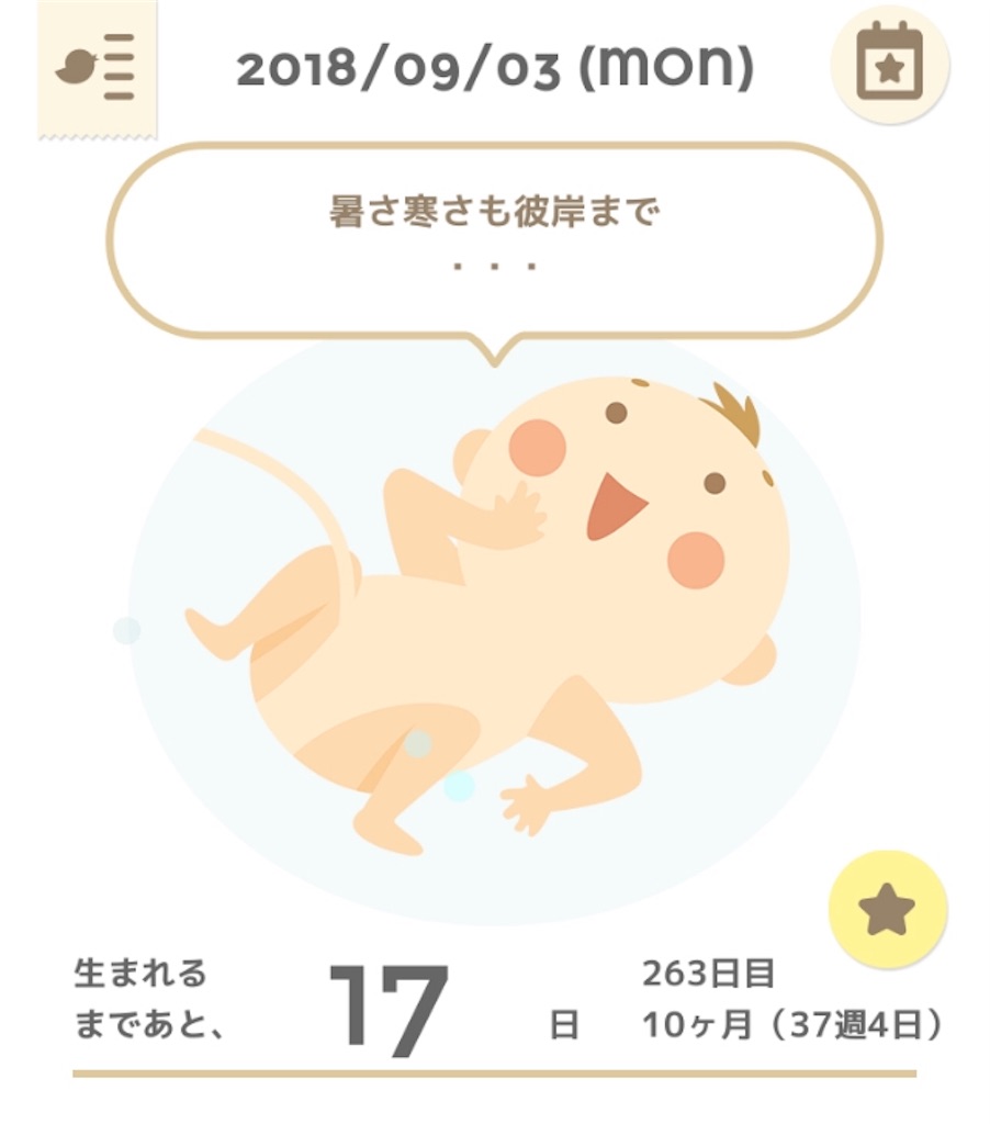 f:id:Bowwowchami:20180903003407j:image f:id:Bowwowchami:20180903003407j:image