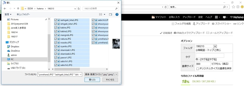 f:id:Boyager:20190216071946j:plain f:id:Boyager:20190216071946j:plain