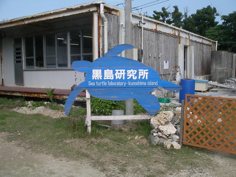 f:id:Boyager:20190216171310j:plain f:id:Boyager:20190216171310j:plain