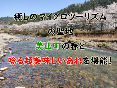 f:id:Boyager:20210406090343j:plain