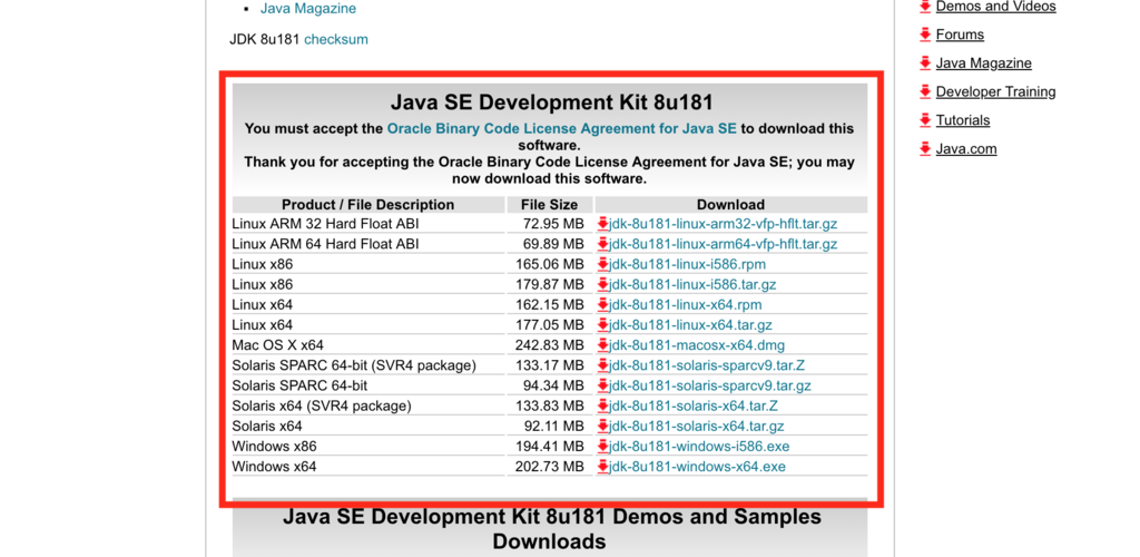 macにJava Development Kit (JDK) をインストールしてみた - Bpei’s diary