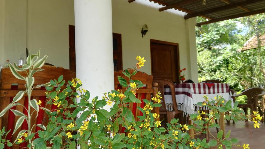 f:id:BrasilxJapao:20190419034648j:plain f:id:BrasilxJapao:20190419034648j:plain