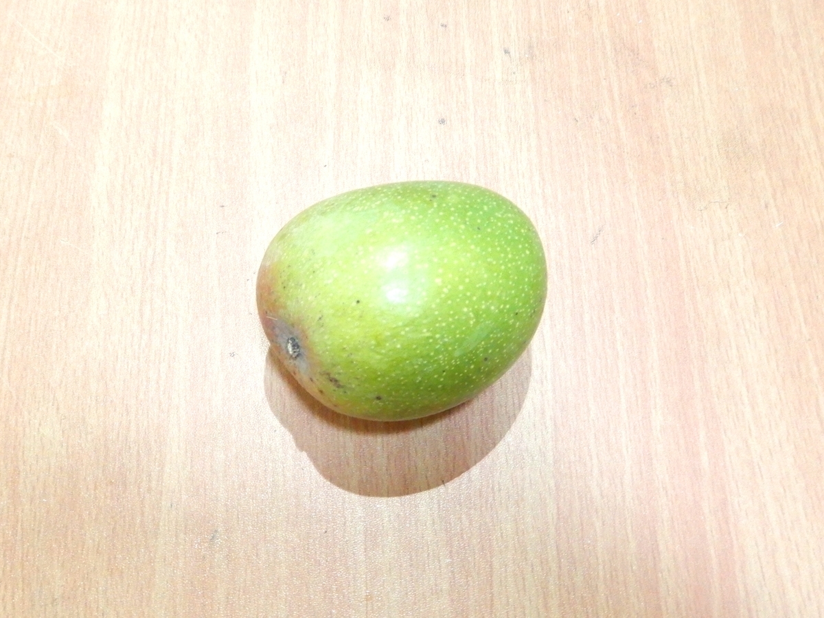 f:id:Bread-thought:20190614021243j:plain