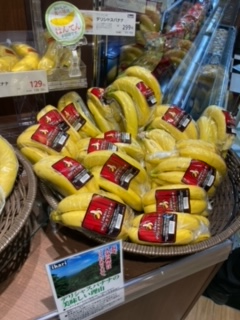 f:id:Breakfastbananasan:20210401233440p:plain