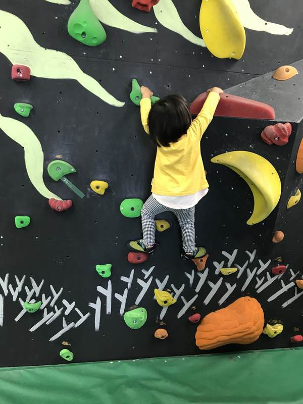 f:id:Breakoutdoor:20181027215403j:plain f:id:Breakoutdoor:20181027215403j:plain