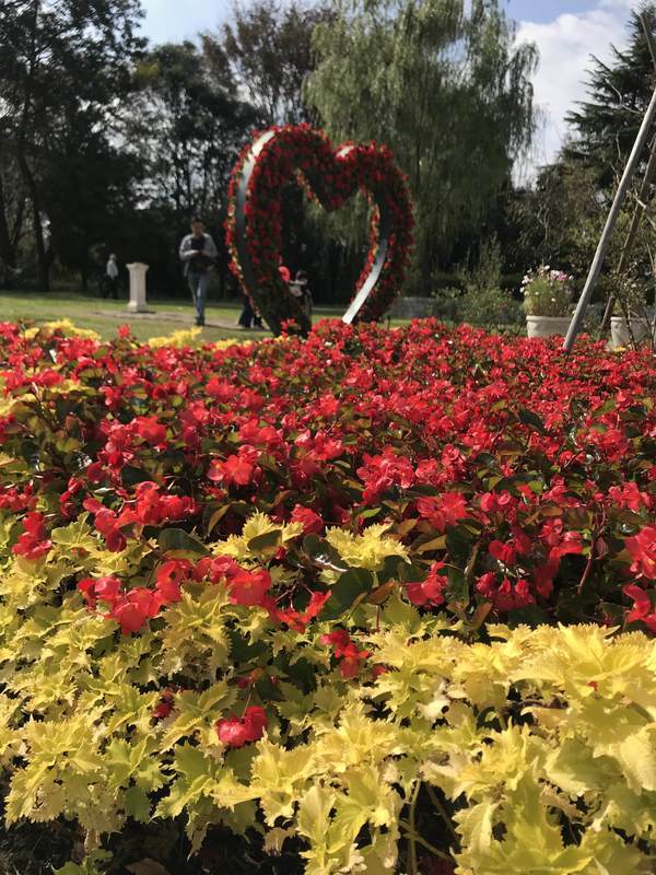 f:id:Breakoutdoor:20181103231007j:plain f:id:Breakoutdoor:20181103231007j:plain