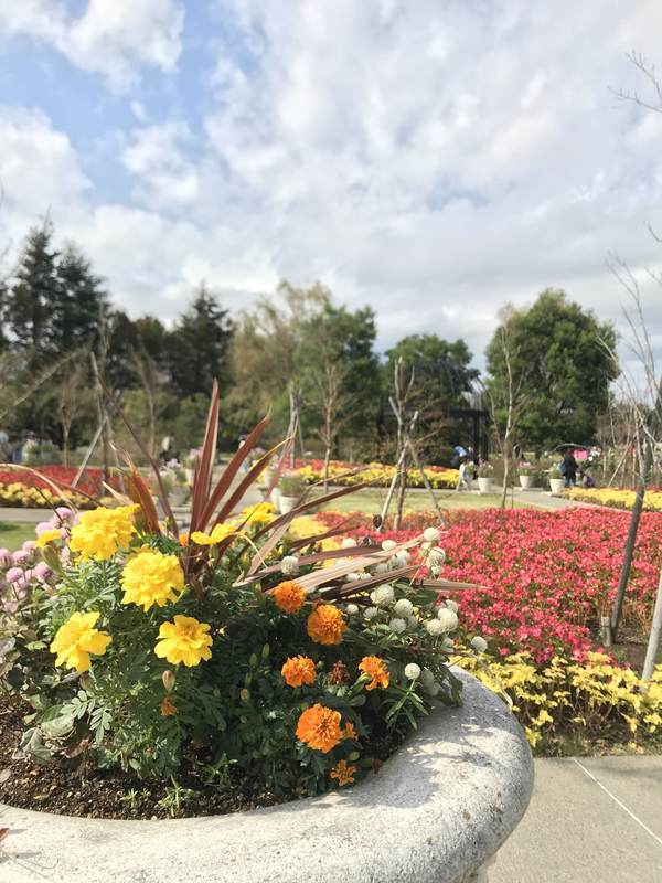 f:id:Breakoutdoor:20181103231018j:plain f:id:Breakoutdoor:20181103231018j:plain