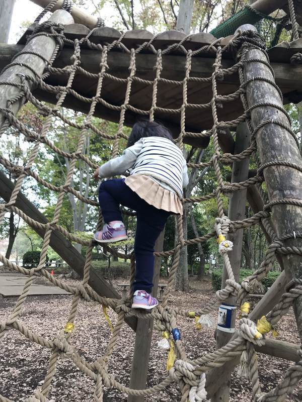 f:id:Breakoutdoor:20181103232243j:plain f:id:Breakoutdoor:20181103232243j:plain