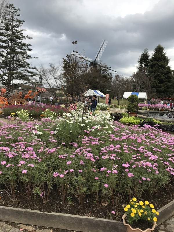 f:id:Breakoutdoor:20181103233226j:plain f:id:Breakoutdoor:20181103233226j:plain