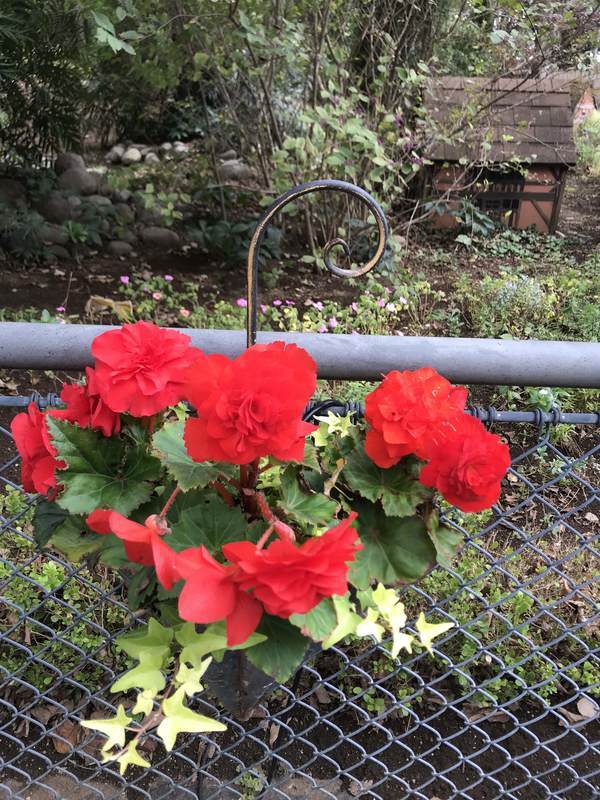 f:id:Breakoutdoor:20181103233257j:plain f:id:Breakoutdoor:20181103233257j:plain
